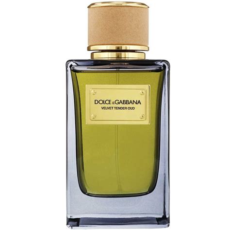 Velvet Tender Oud Dolce&Gabbana for women and men